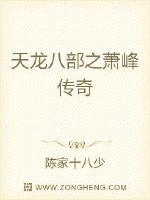 天龙八部之萧峰传奇